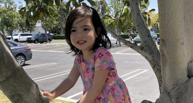 Preschool girl in a pink patterned dress, grey leggings, and sandals is in a tree on a sunny day smiling and looking proud of herself.